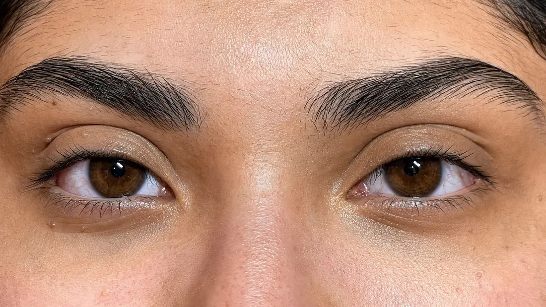 Healed hair-stroke brows